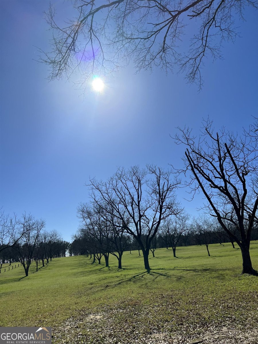 2382 Gallimore Mill Road Jeffersonville - 108