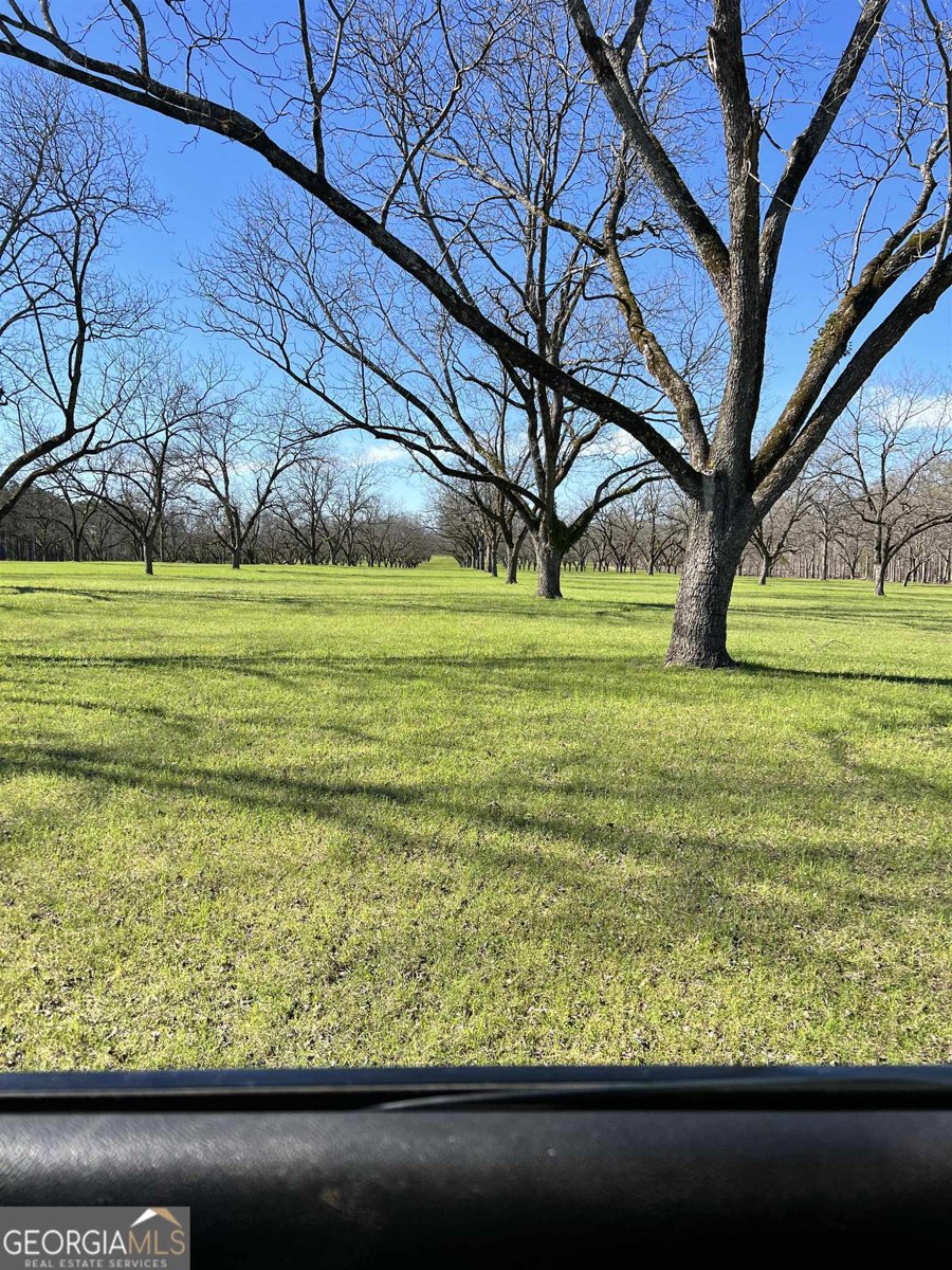 2382 Gallimore Mill Road Jeffersonville - 111