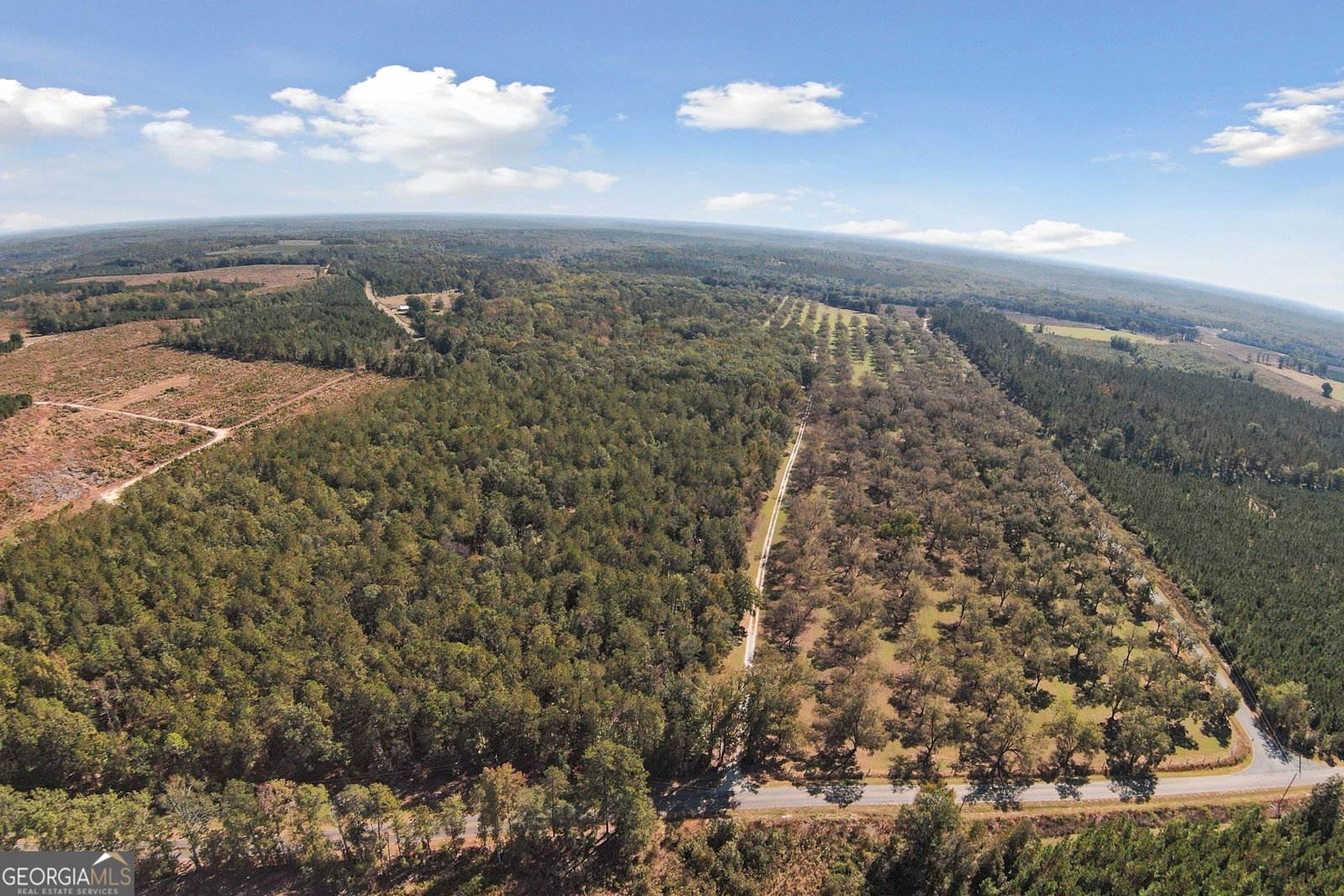 2382 Gallimore Mill Road Jeffersonville - 55