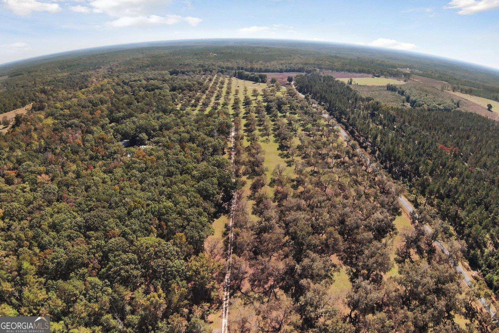 2382 Gallimore Mill Road Jeffersonville - 56