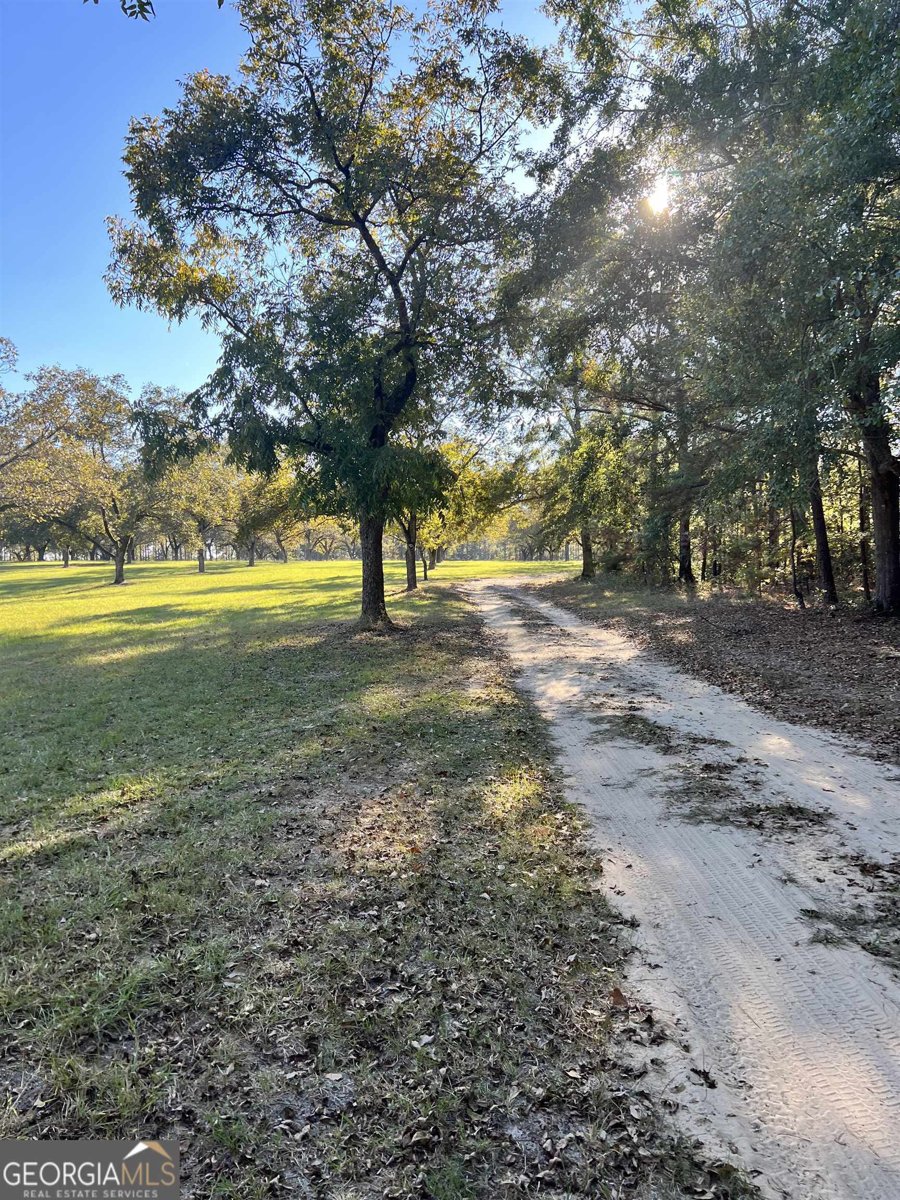 2382 Gallimore Mill Road Jeffersonville - 71