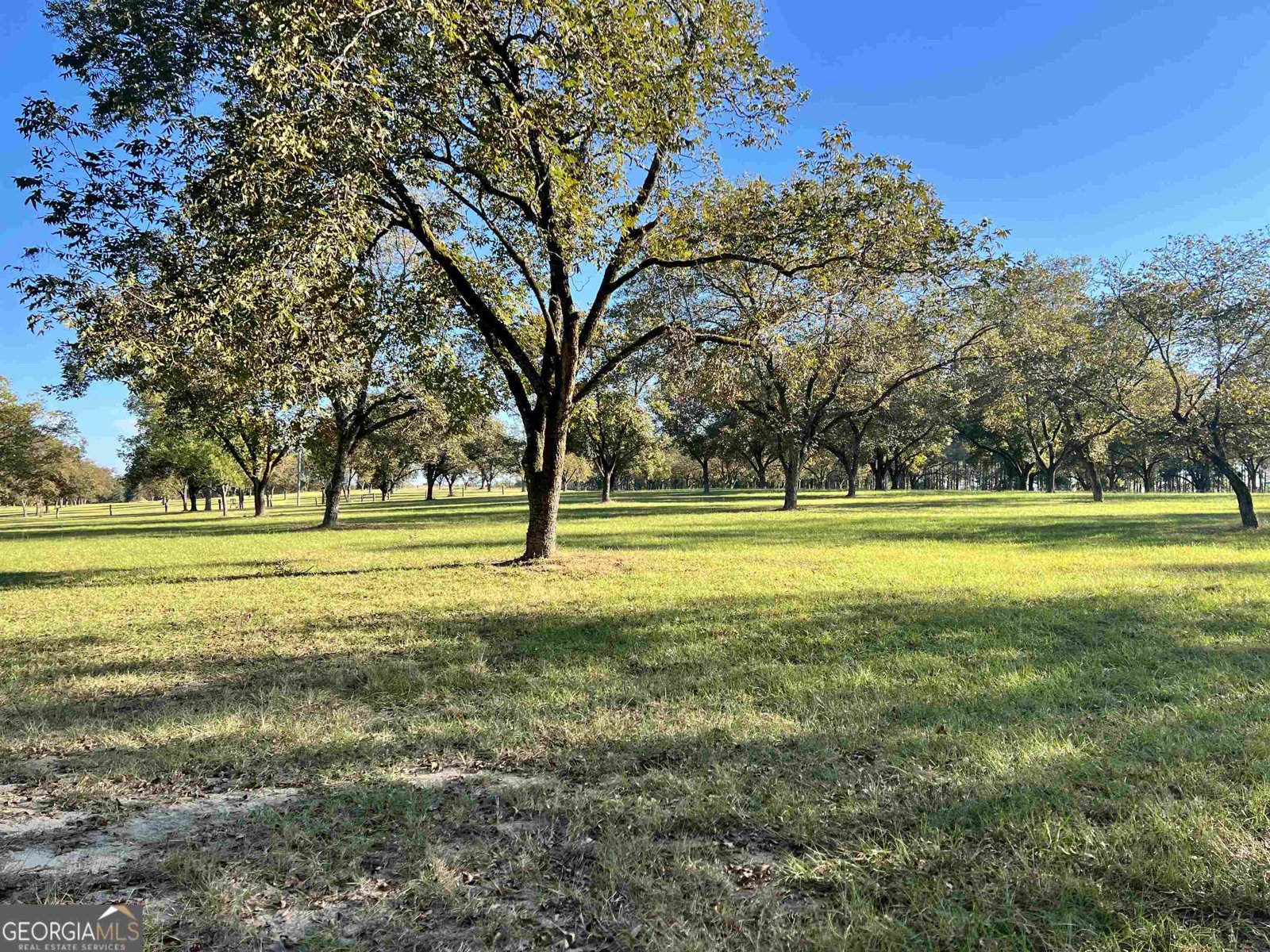 2382 Gallimore Mill Road Jeffersonville - 74