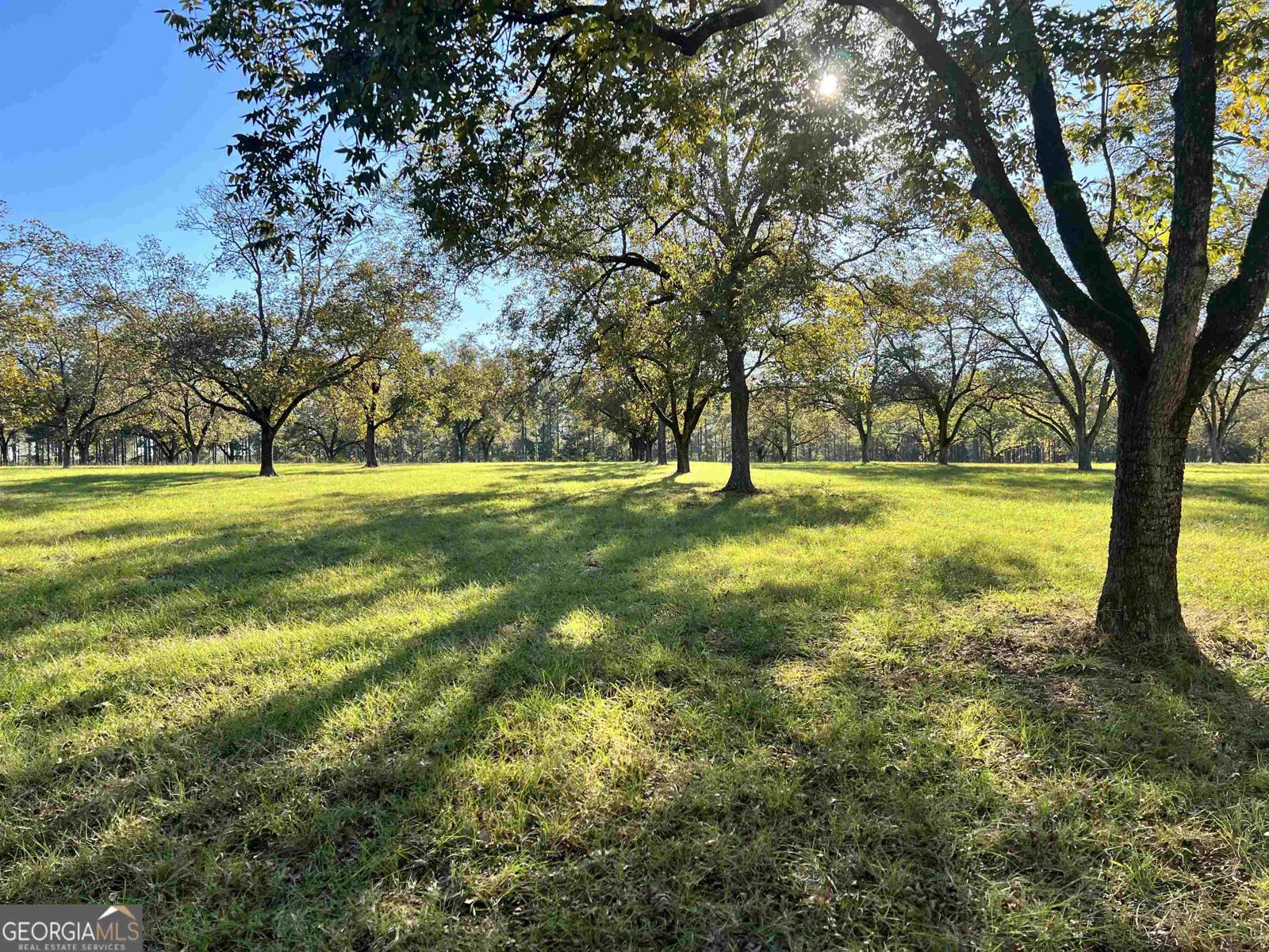 2382 Gallimore Mill Road Jeffersonville - 75