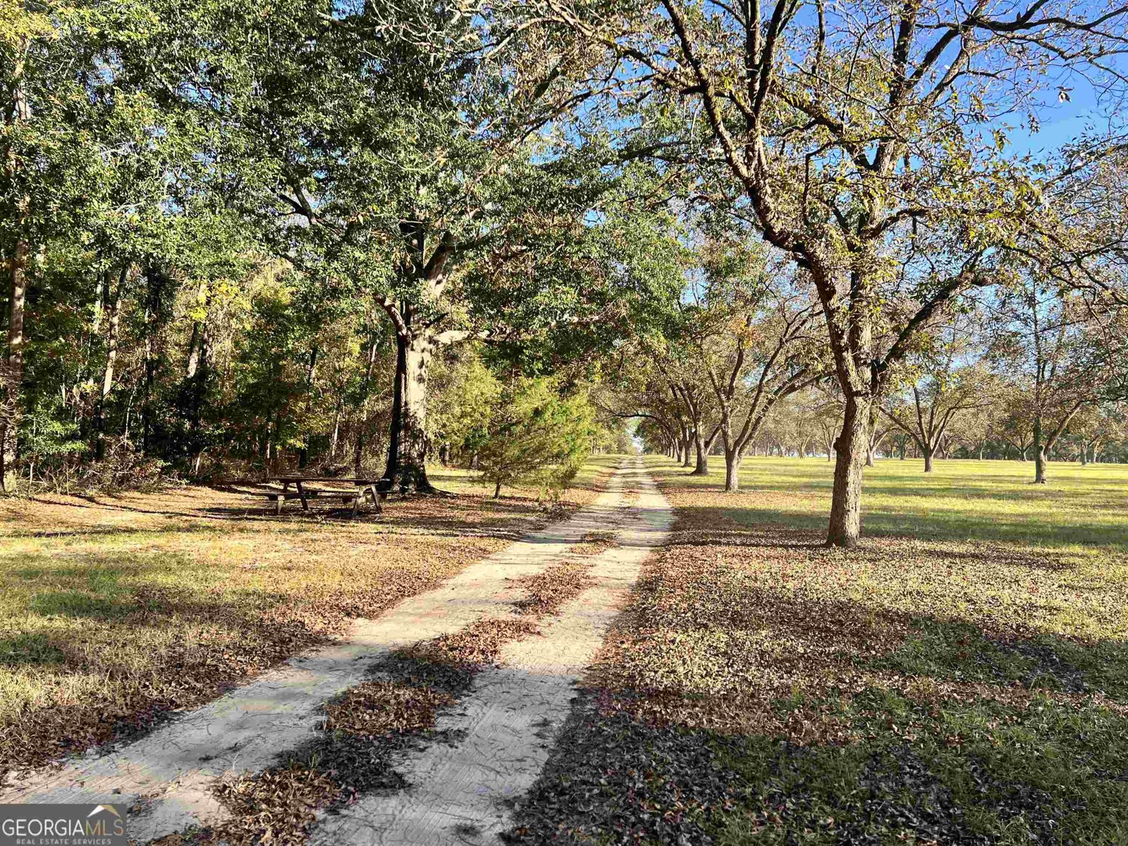 2382 Gallimore Mill Road Jeffersonville - 76