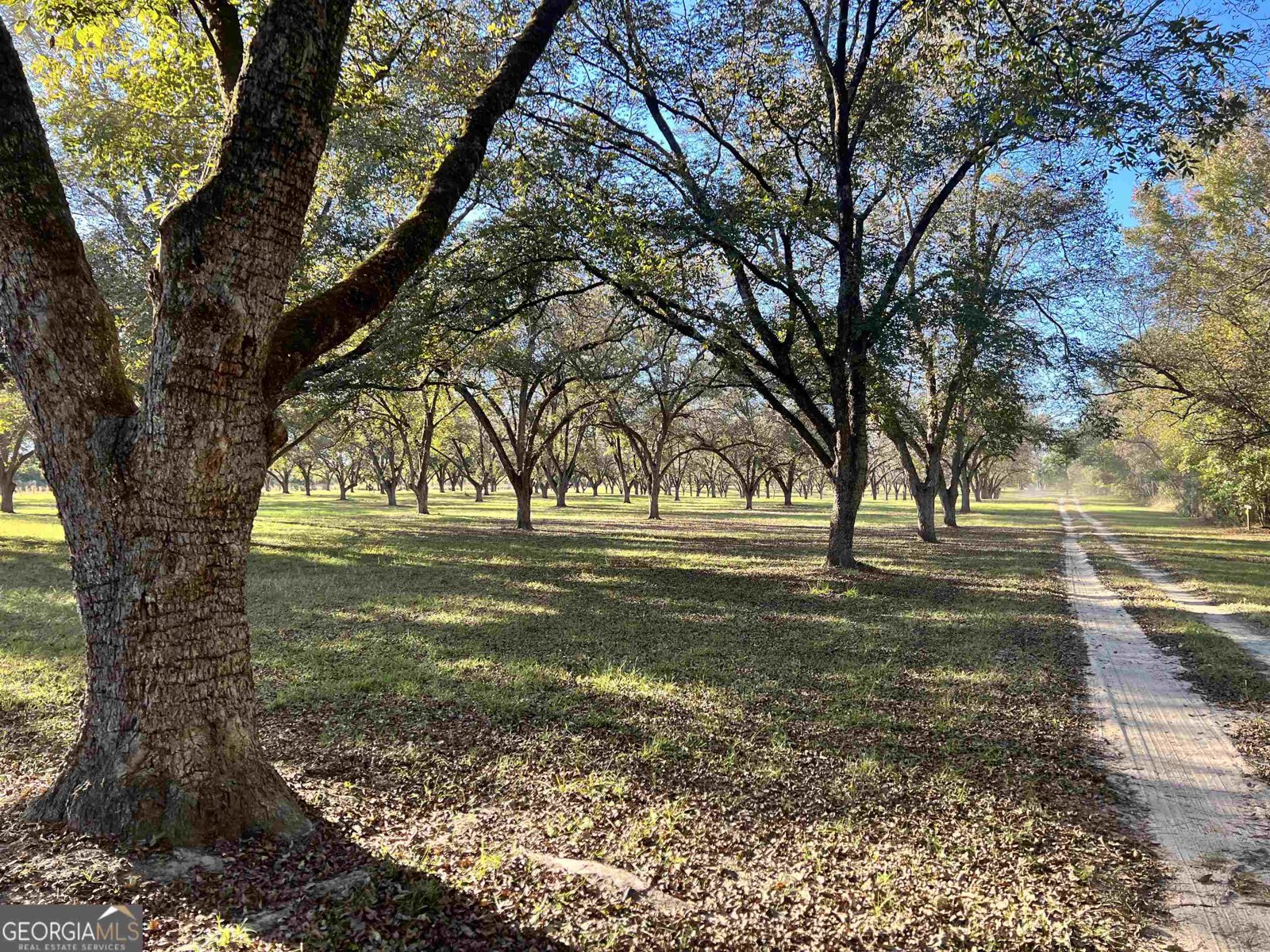 2382 Gallimore Mill Road Jeffersonville - 77