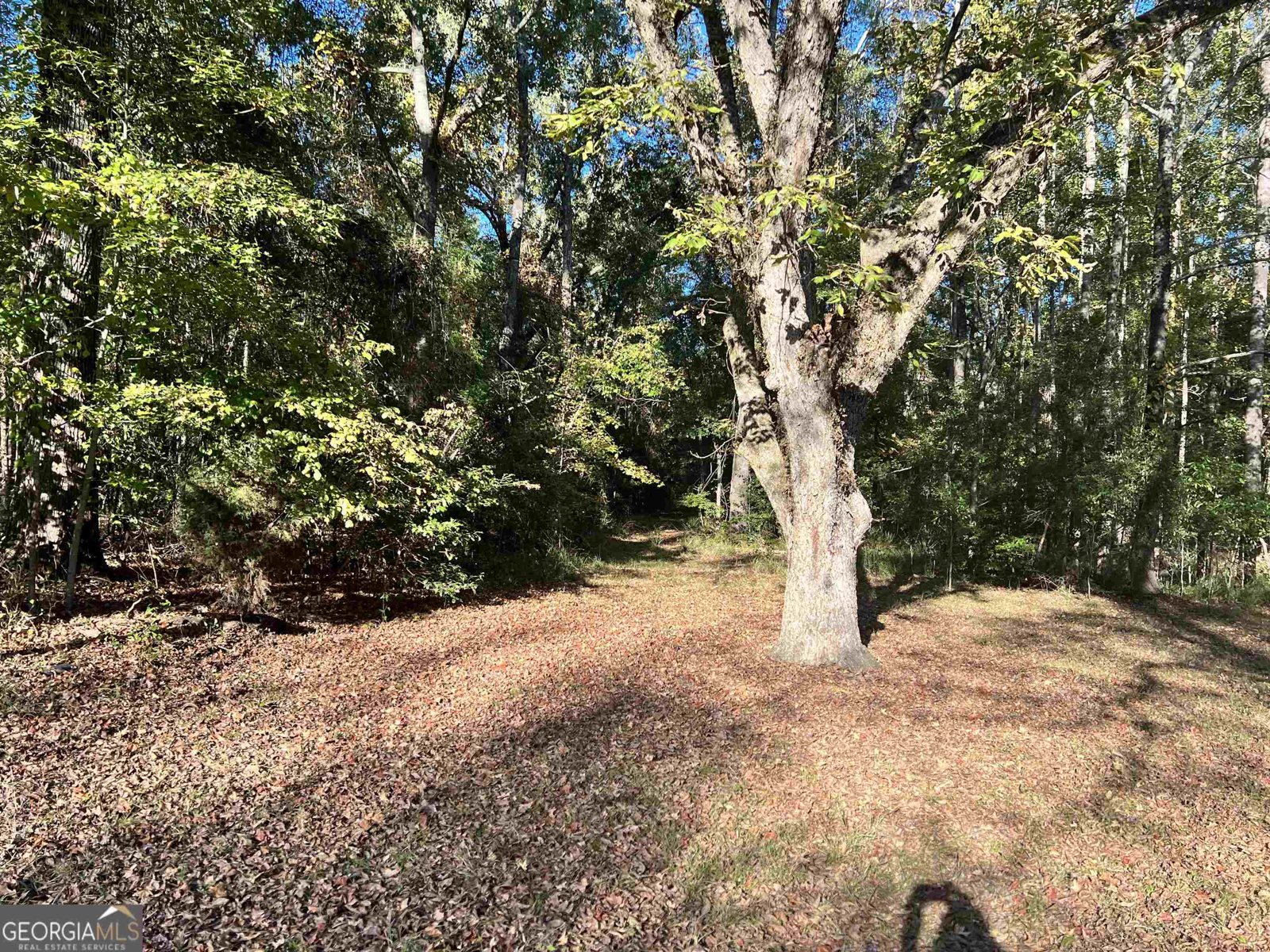 2382 Gallimore Mill Road Jeffersonville - 78