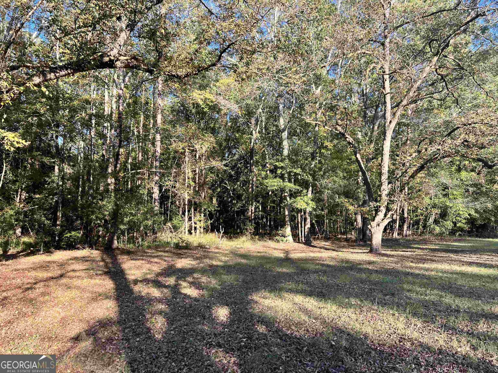 2382 Gallimore Mill Road Jeffersonville - 80