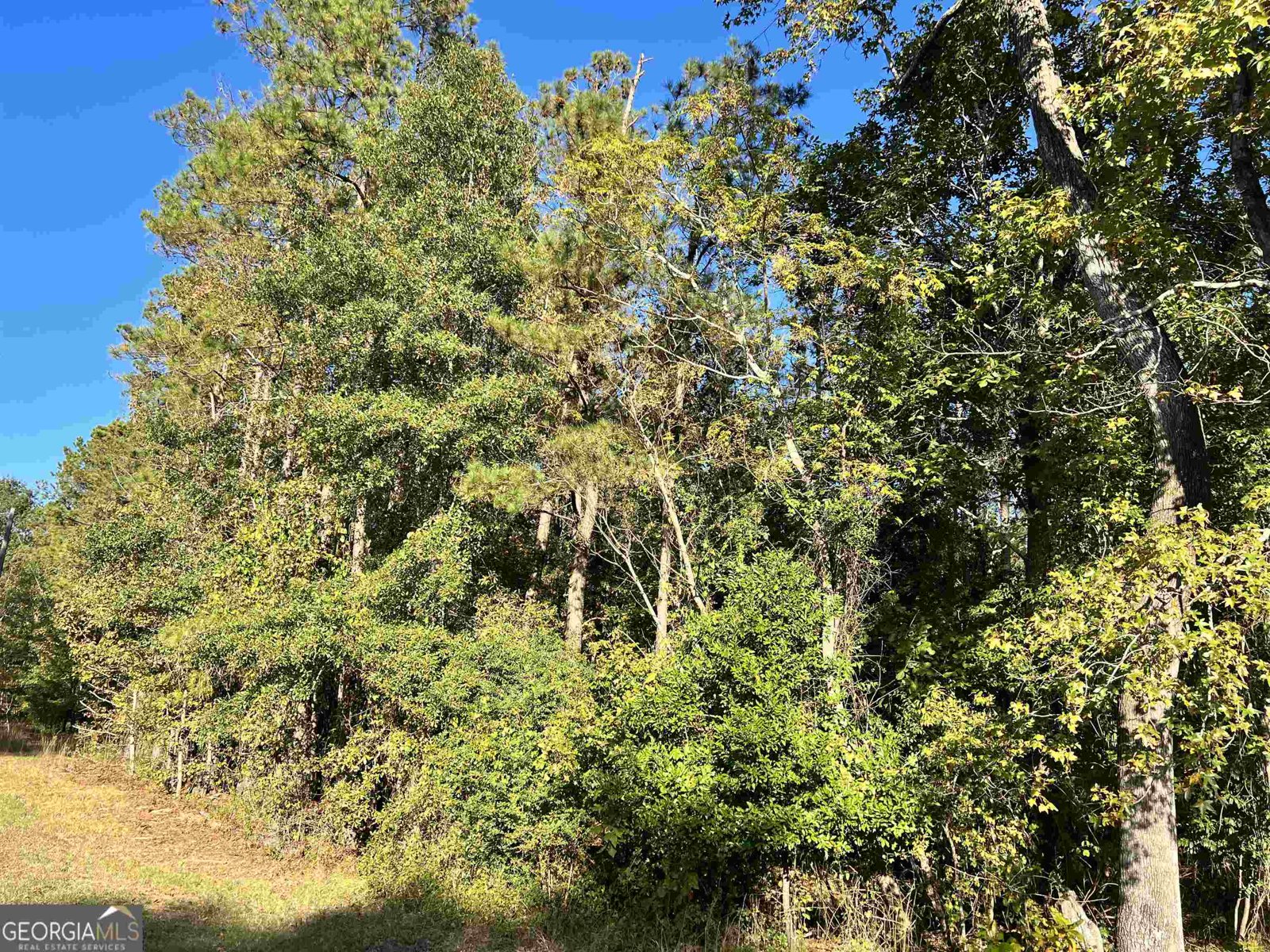 2382 Gallimore Mill Road Jeffersonville - 81