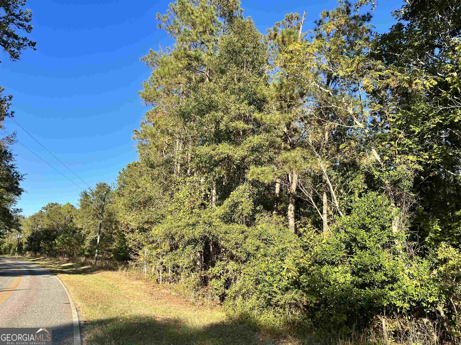 2382 Gallimore Mill Road Jeffersonville - 82