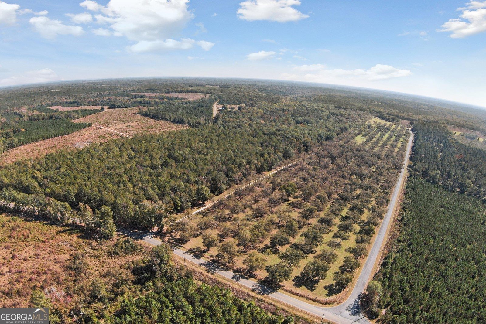 2382 Gallimore Mill Road Jeffersonville - 85