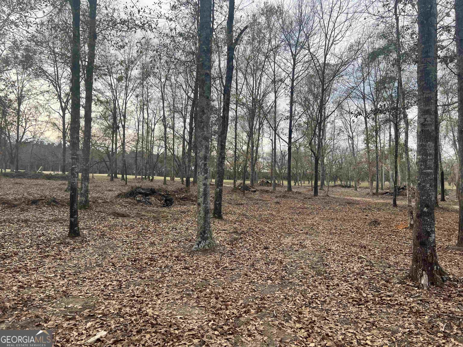 2382 Gallimore Mill Road Jeffersonville - 95