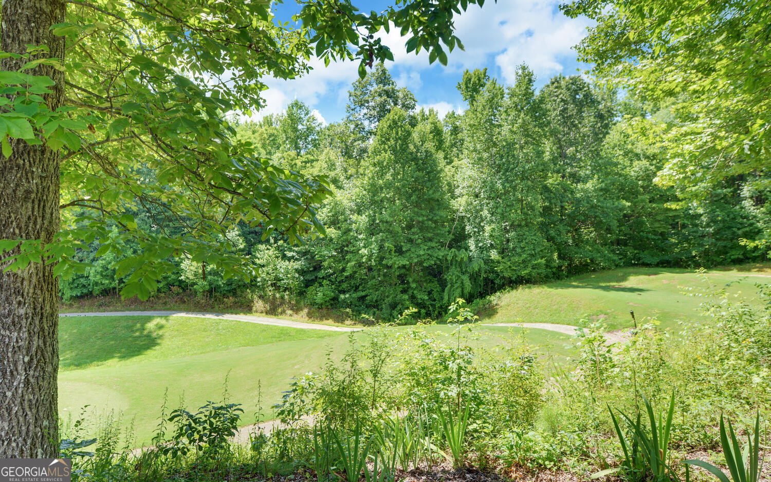 135 Winter Court Clarkesville - 19