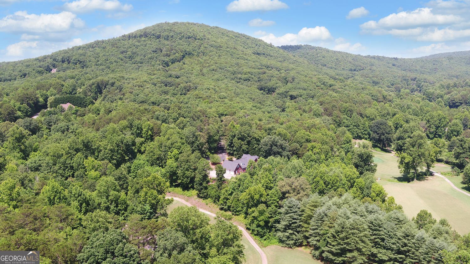 135 Winter Court Clarkesville - 7