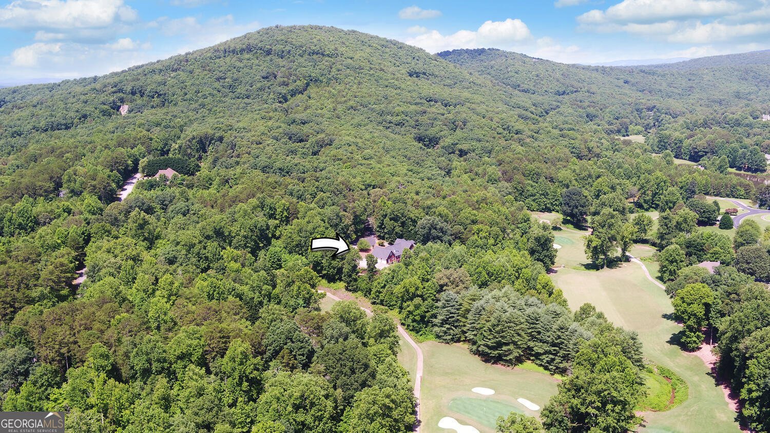 135 Winter Court Clarkesville - 8