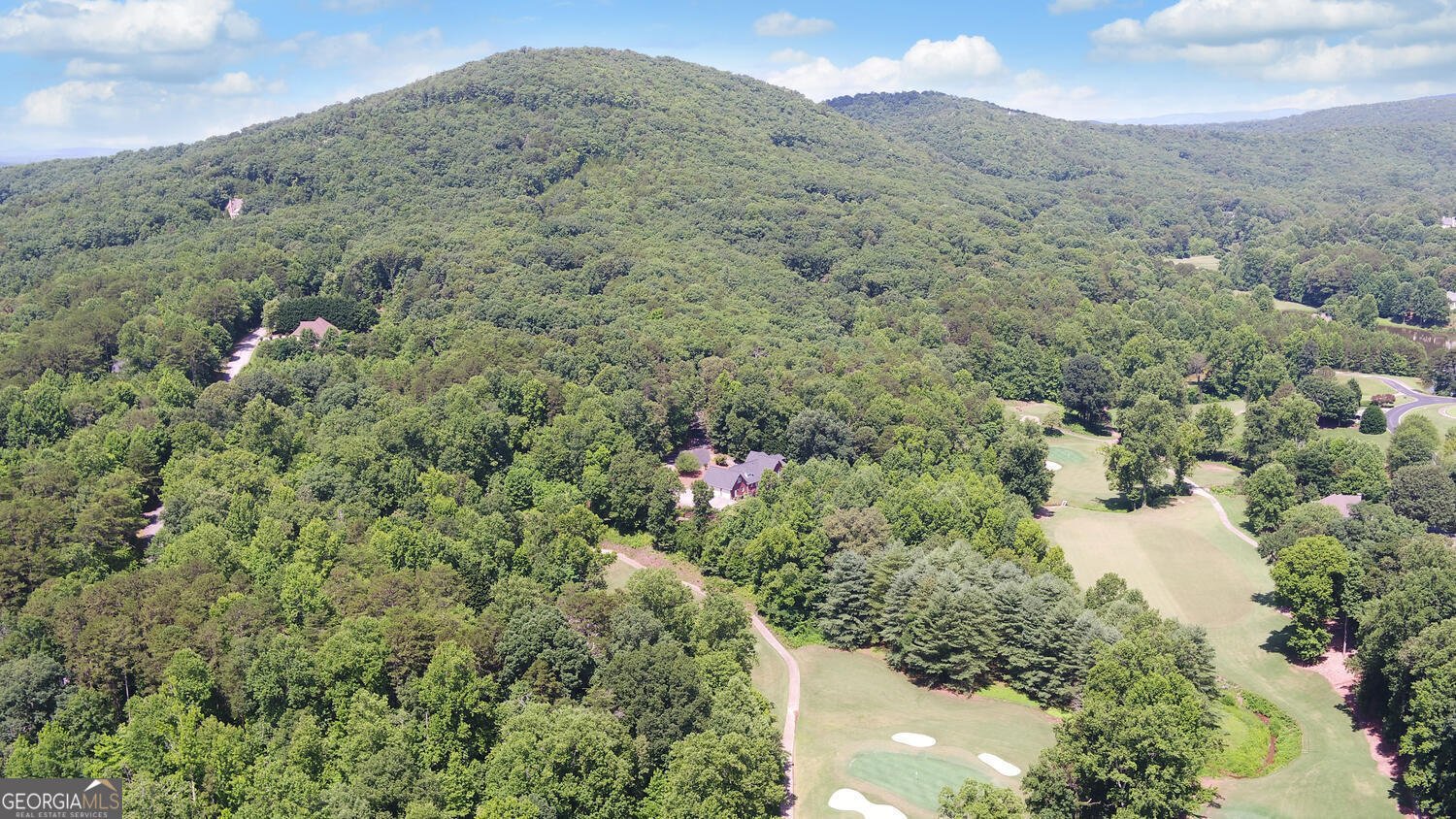 135 Winter Court Clarkesville - 9