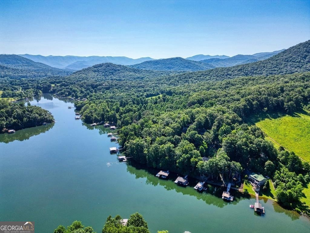 301 Hidden Cove Crossover Hayesville - 3