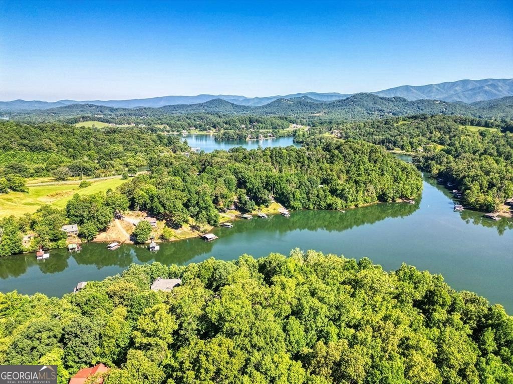 301 Hidden Cove Crossover Hayesville - 4