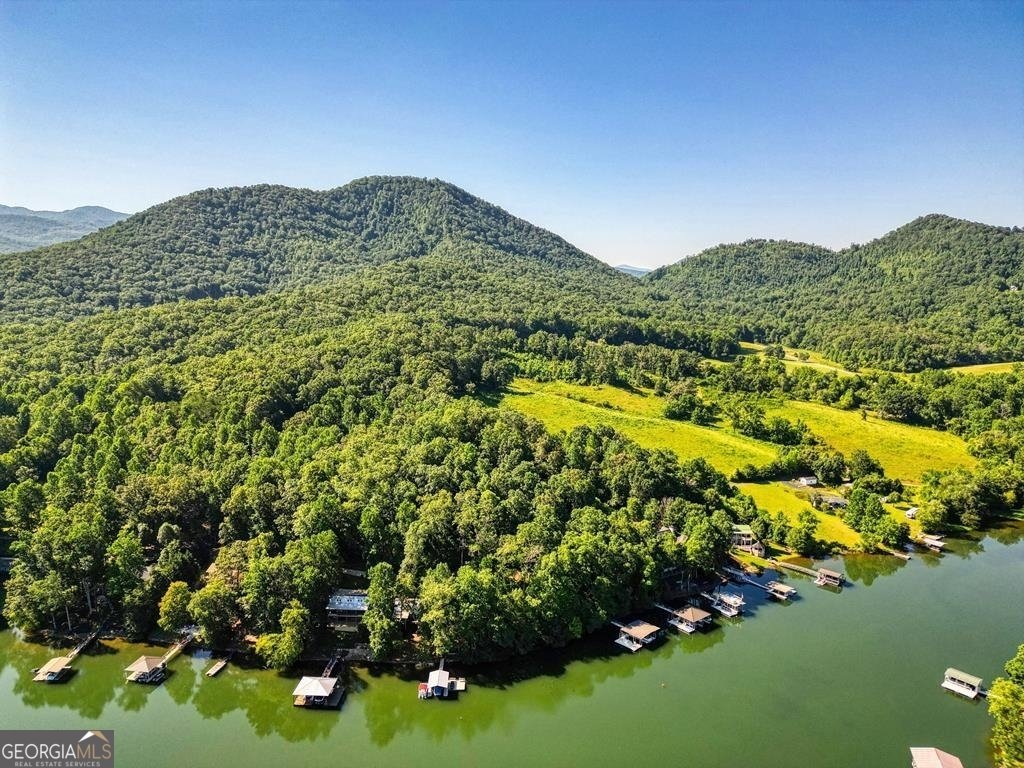 301 Hidden Cove Crossover Hayesville - 7