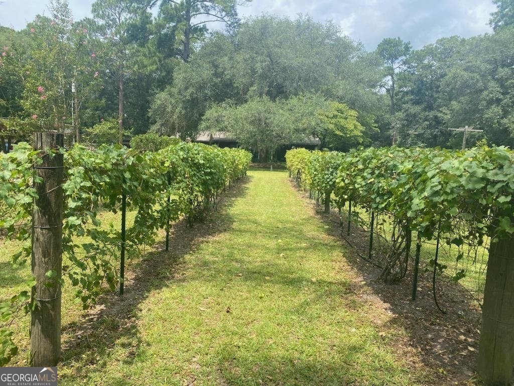 1165 Chimney Road Rincon - 4