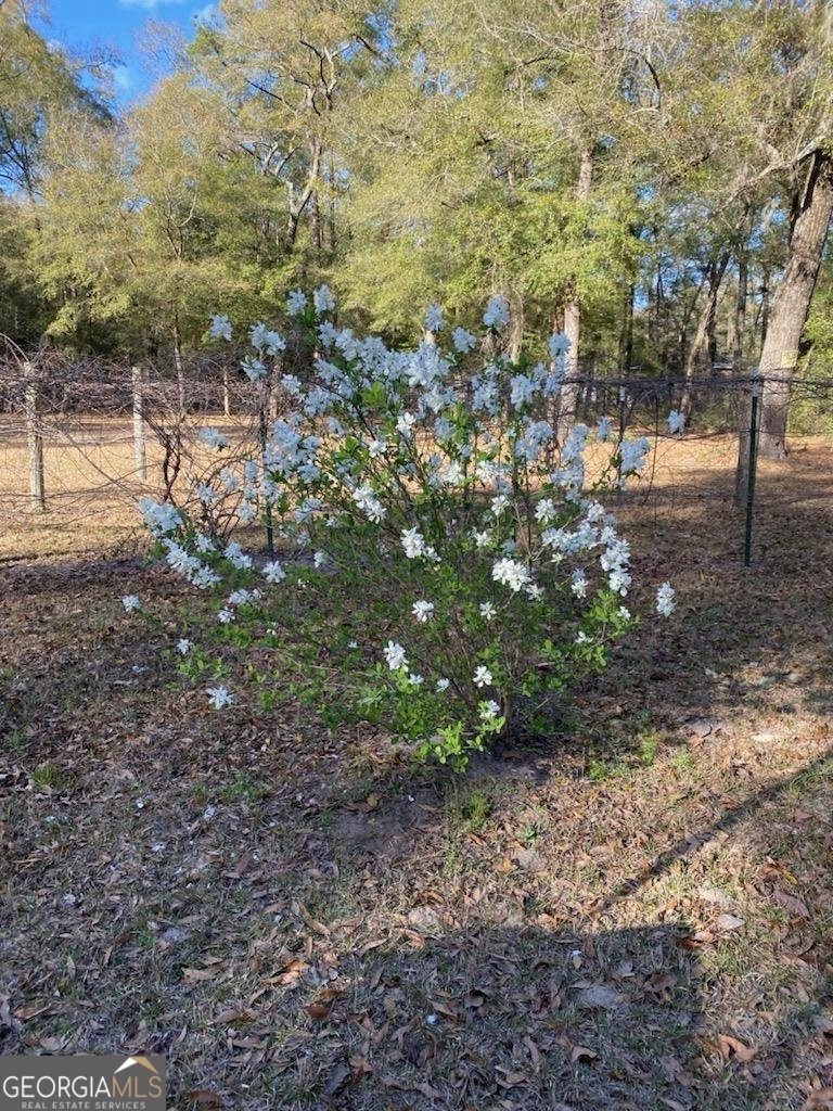 1165 Chimney Road Rincon - 7
