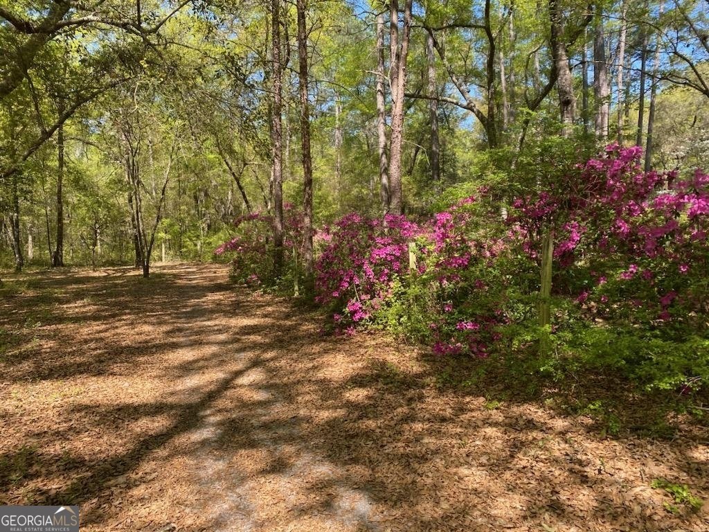 1199 Chimney Road Rincon - 4