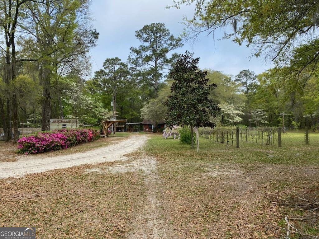 1199 Chimney Road Rincon - 5