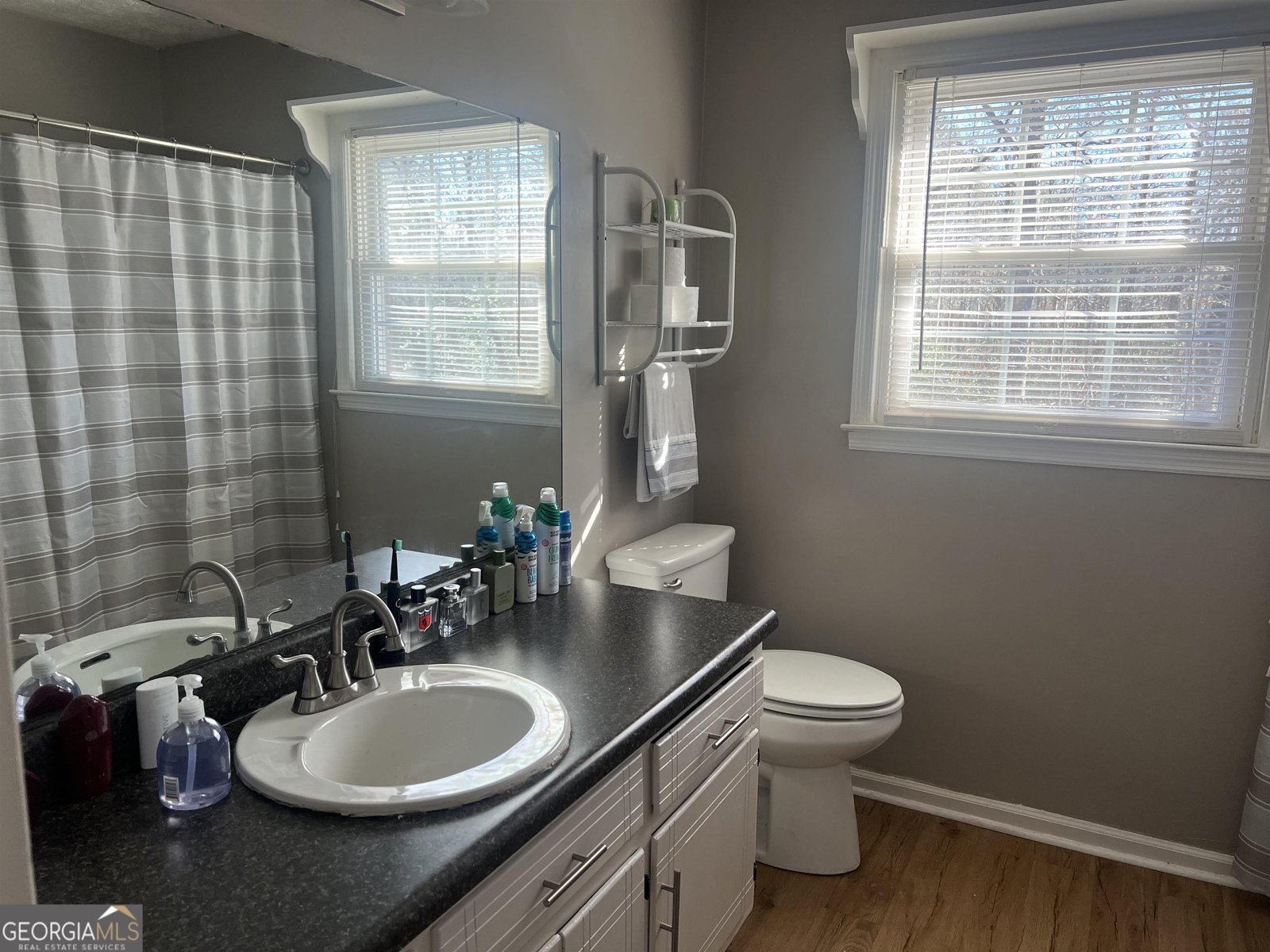 2203 Honeybee Creek Drive Griffin - 10