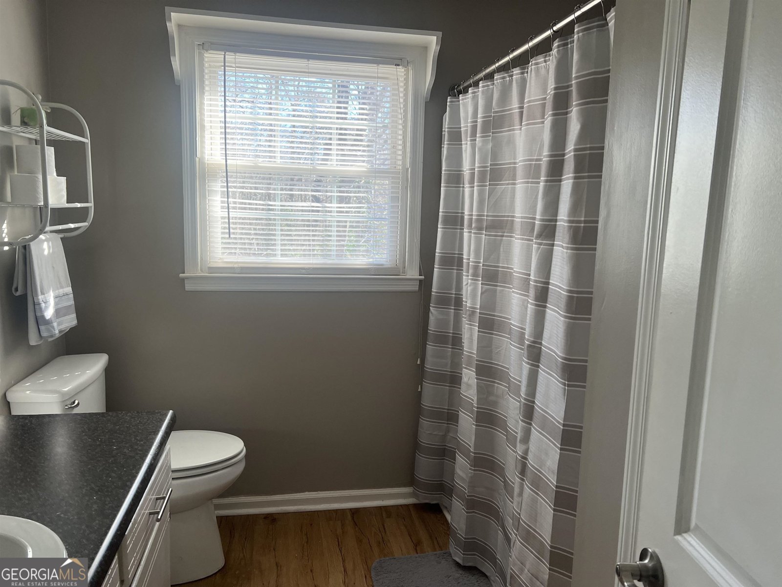 2203 Honeybee Creek Drive Griffin - 11