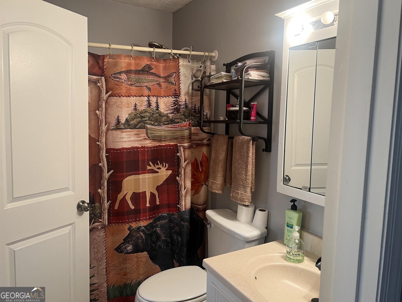 2203 Honeybee Creek Drive Griffin - 31