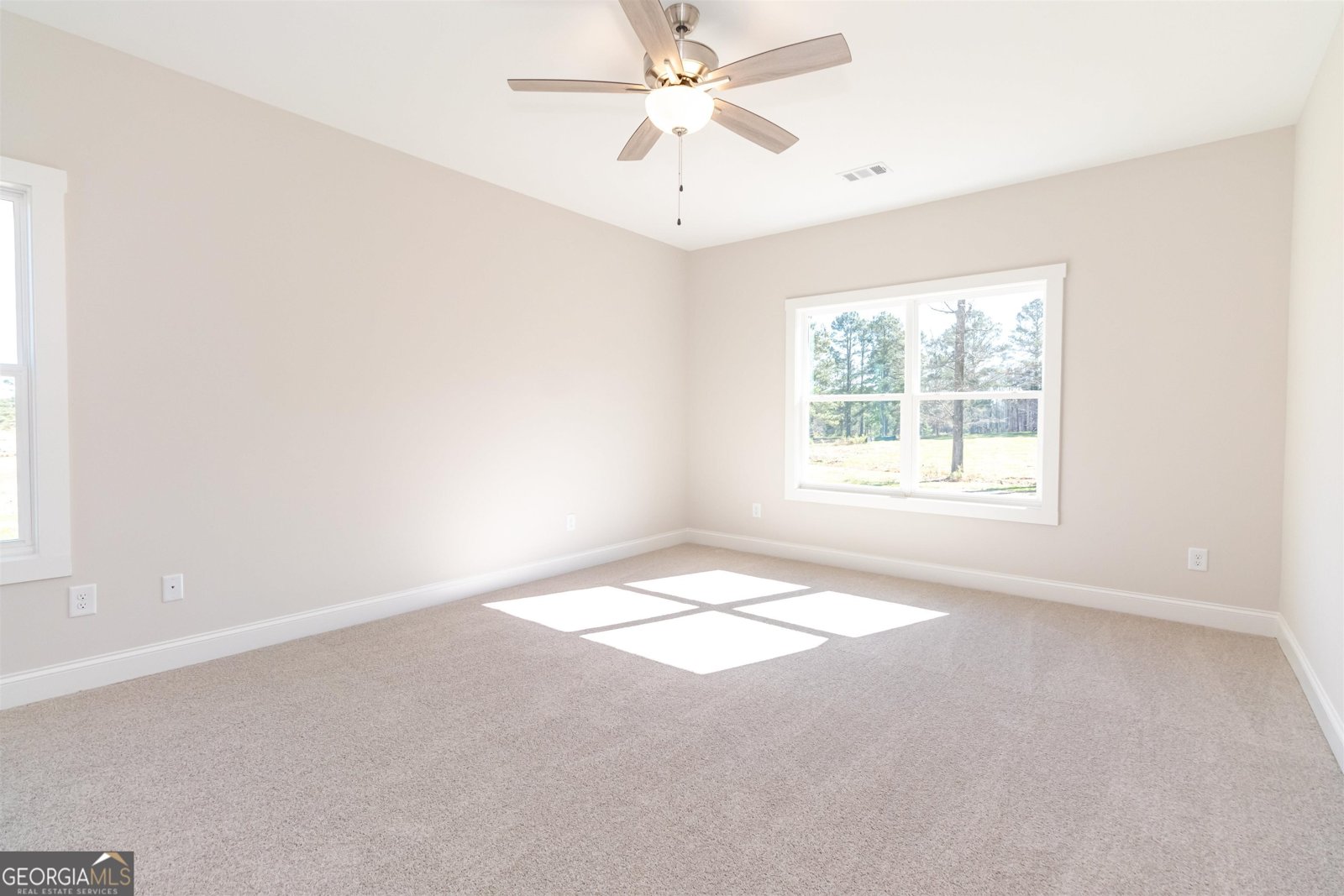 251 Lake Point Drive Williamson - 13