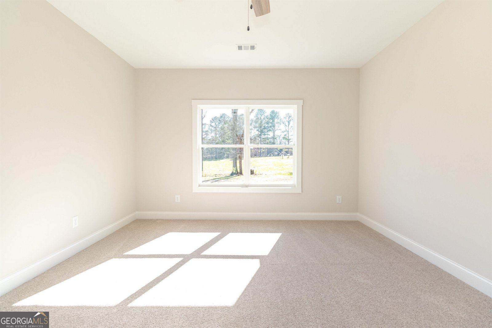 251 Lake Point Drive Williamson - 14