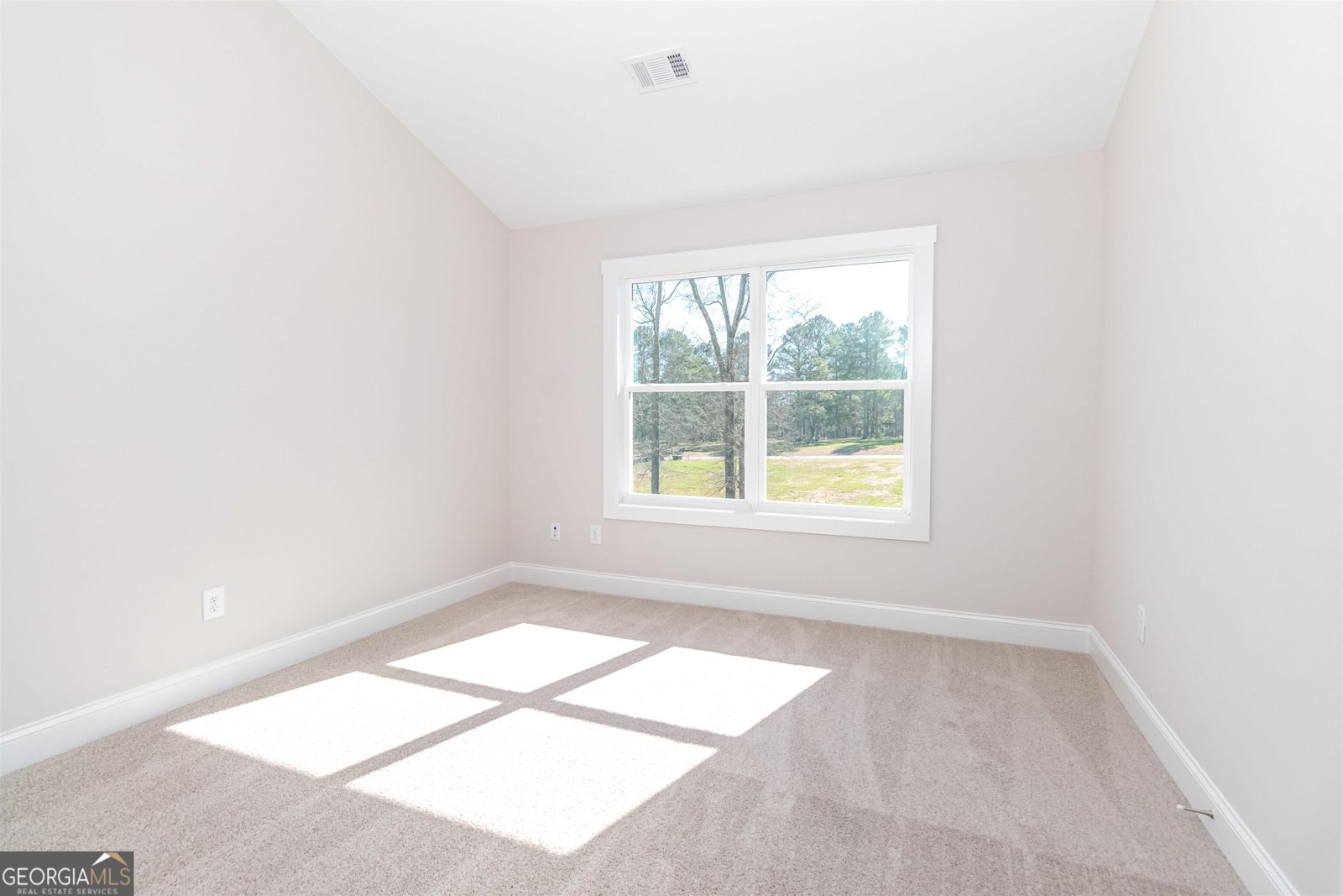 251 Lake Point Drive Williamson - 25