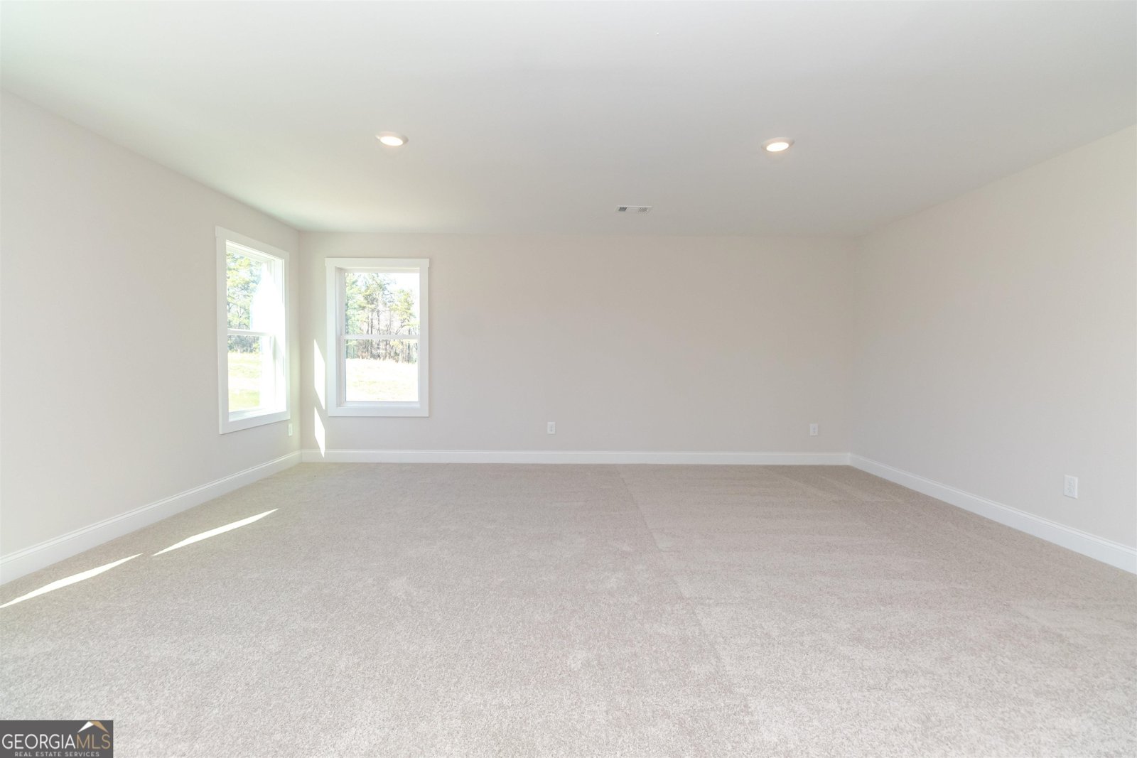 251 Lake Point Drive Williamson - 29