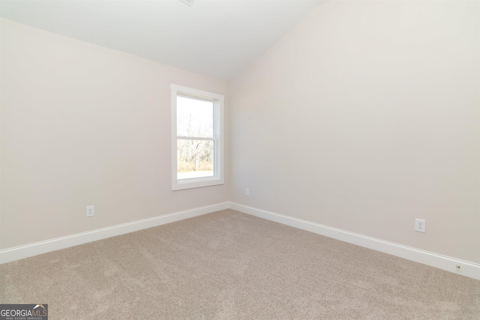 251 Lake Point Drive Williamson - 31