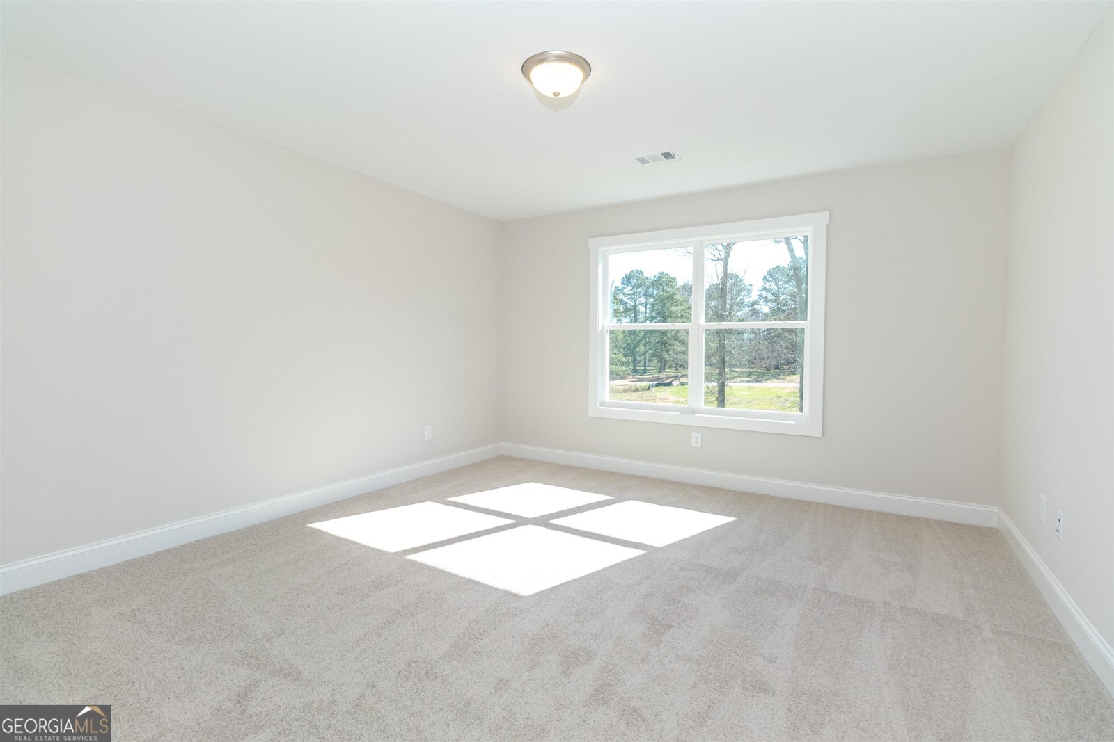 251 Lake Point Drive Williamson - 34