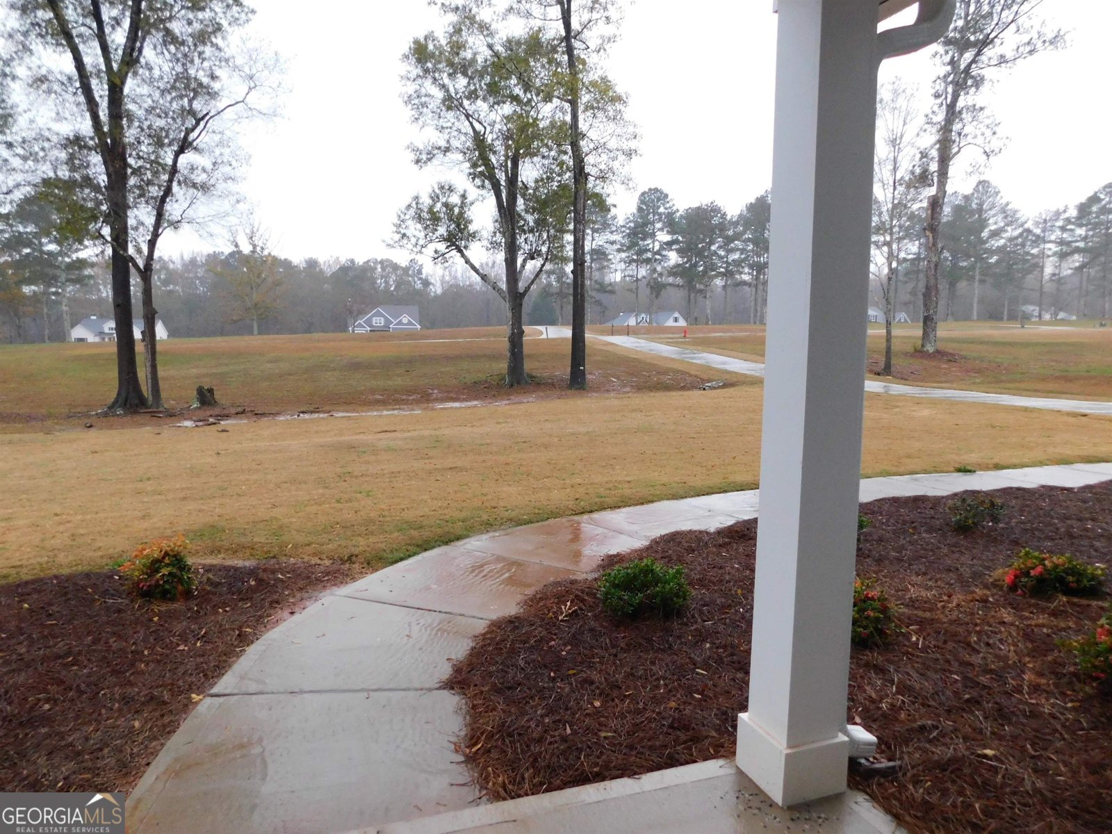 251 Lake Point Drive Williamson - 6