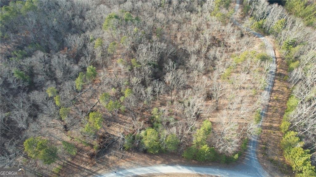 314 Lake Forest Dr Lt 45 Ellijay - 19