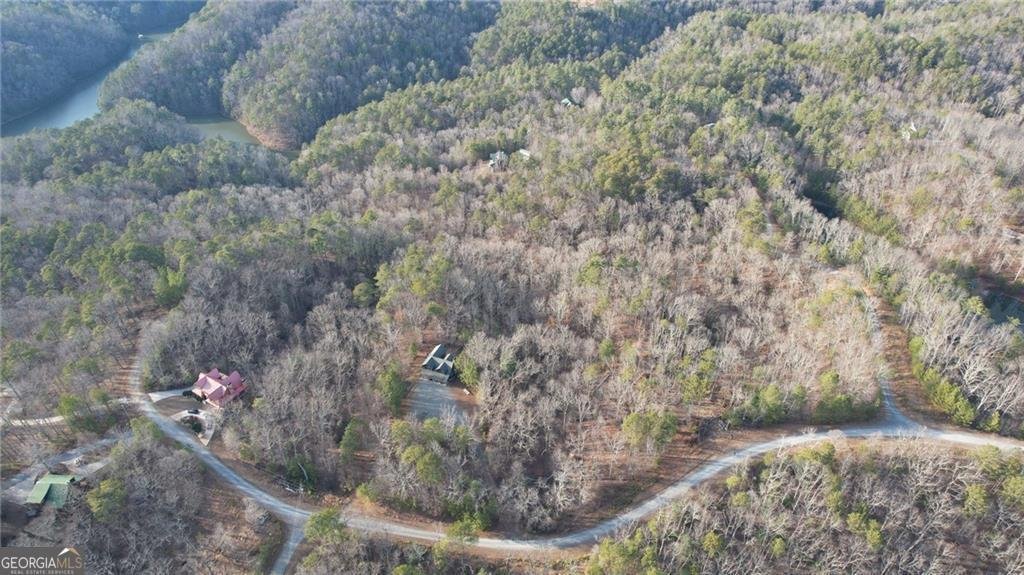 314 Lake Forest Dr Lt 45 Ellijay - 20