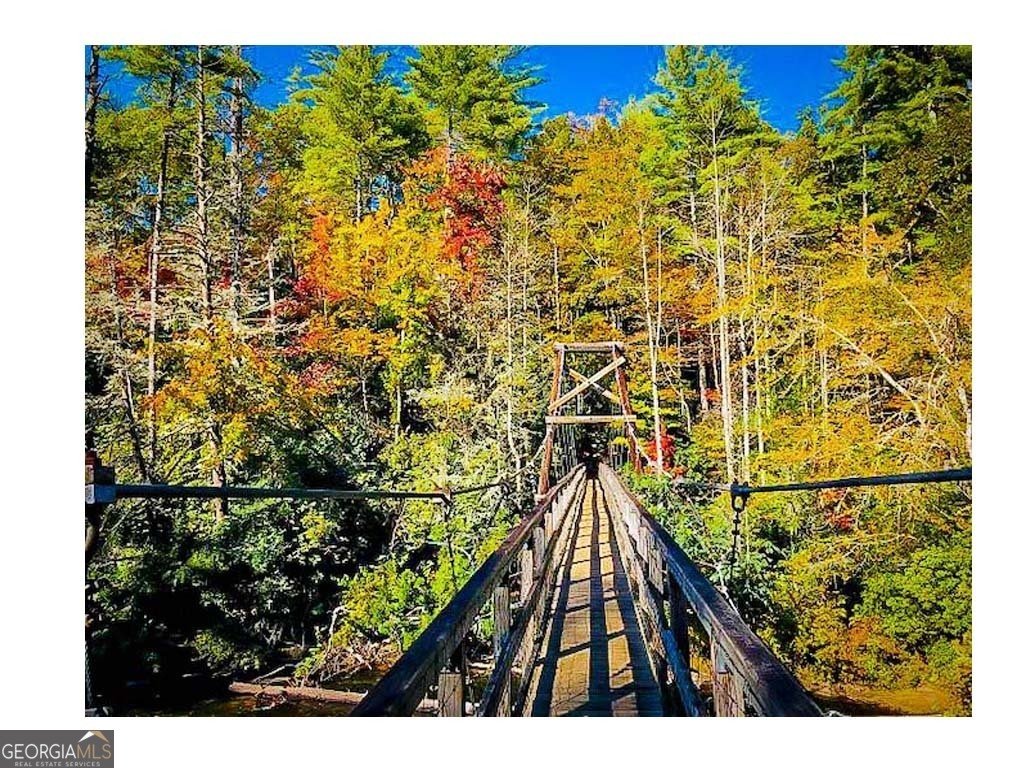 314 Lake Forest Dr Lt 45 Ellijay - 23