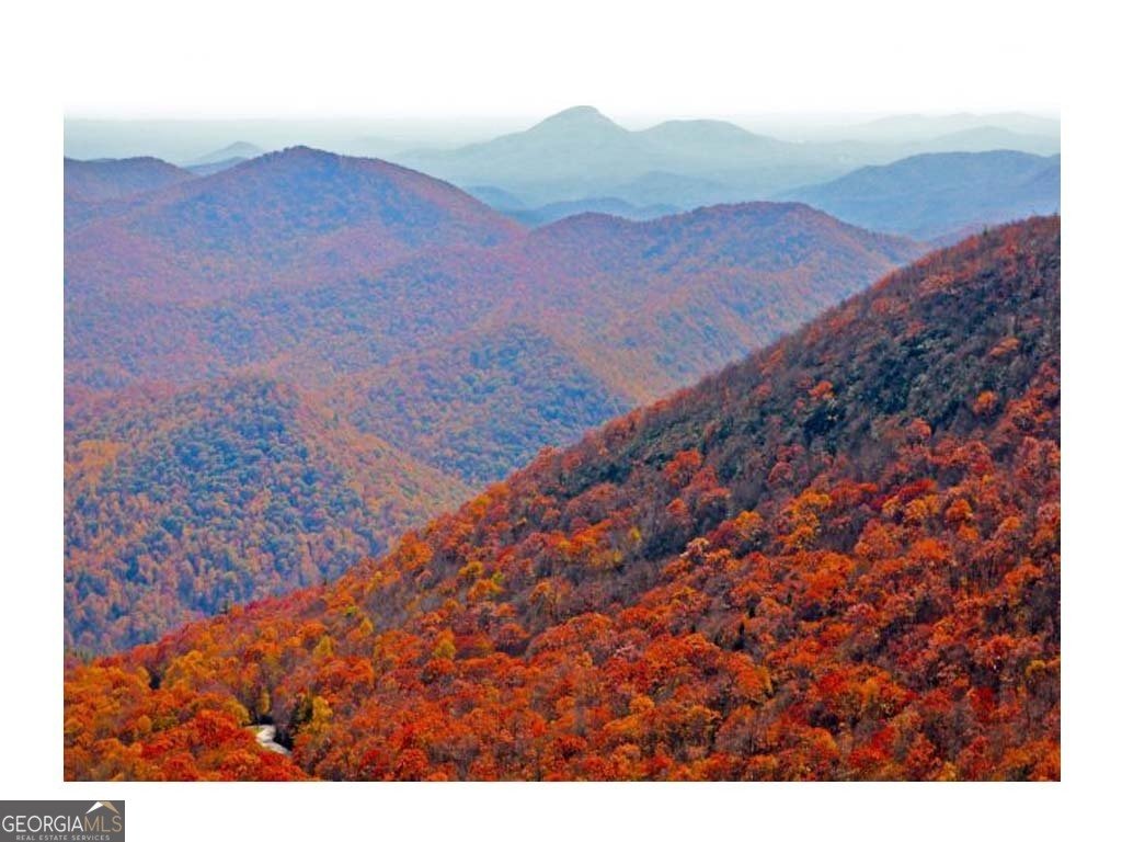 314 Lake Forest Dr Lt 45 Ellijay - 24