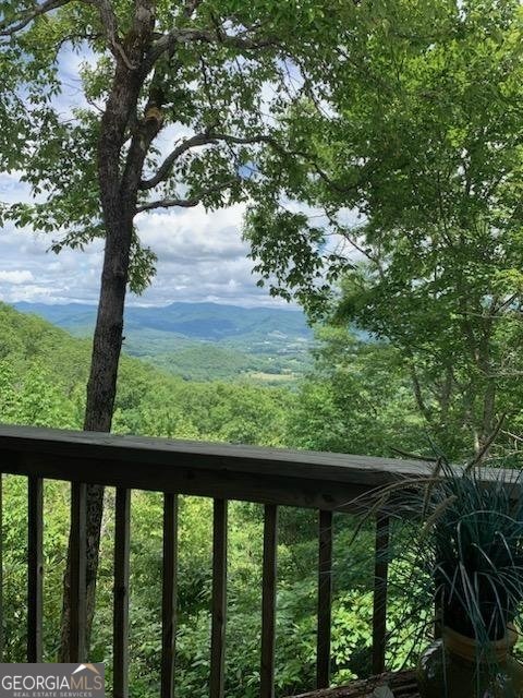 786 Hope Haven Lane Rabun Gap - 33