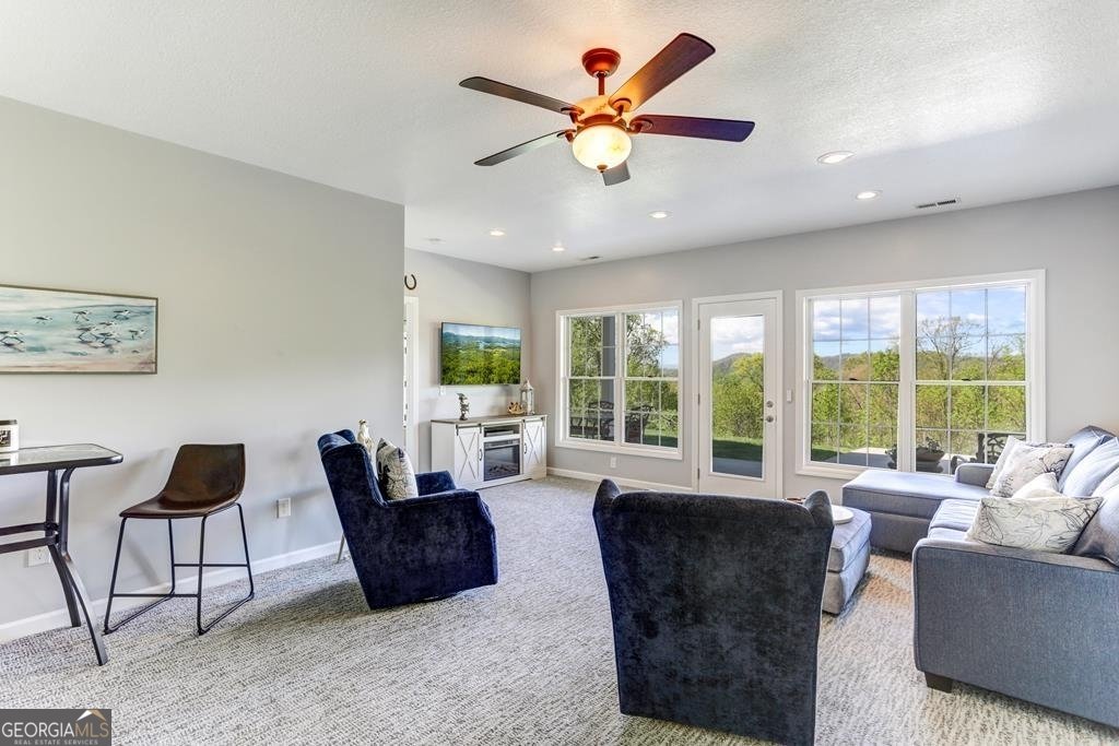 935 White Oak Drive Warne - 18