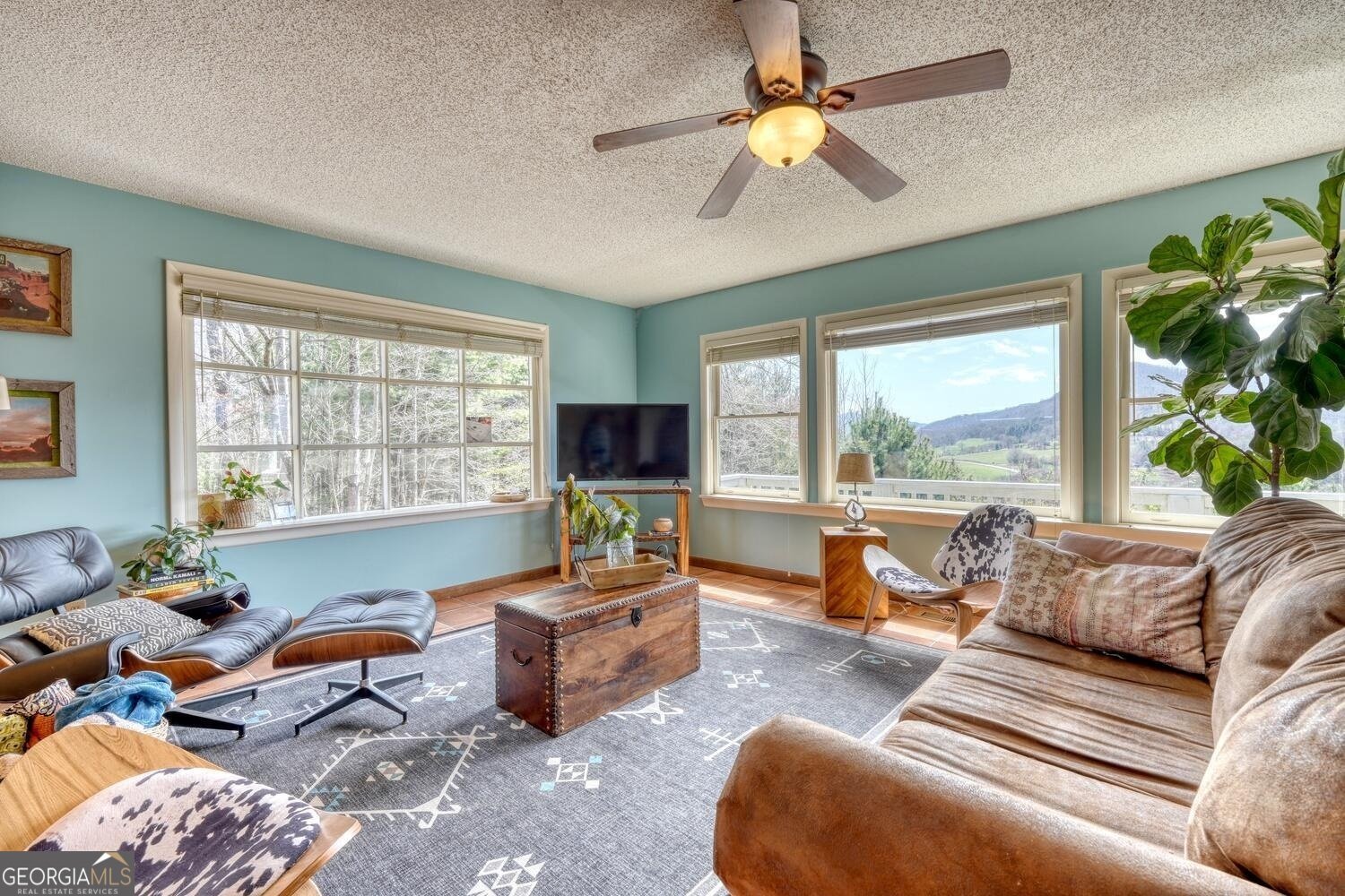 1587 Dove Hill Hiawassee - 8