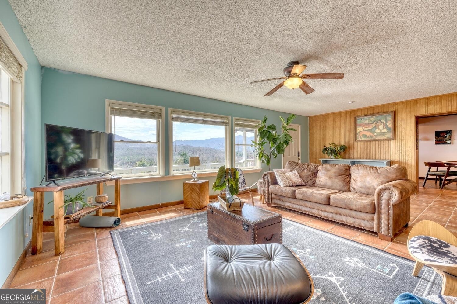 1587 Dove Hill Hiawassee - 9