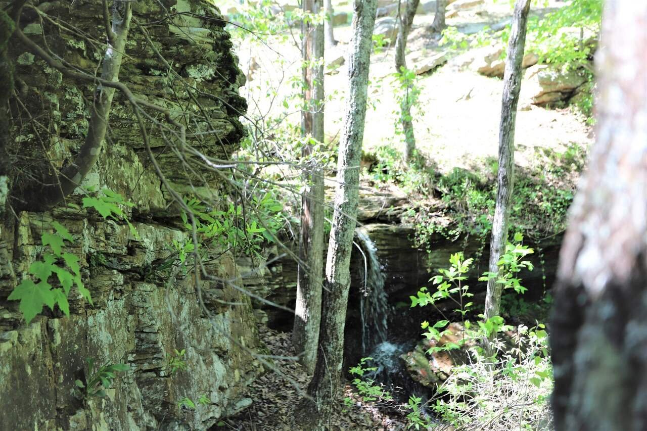 223 South Brow Drive Cloudland - 18