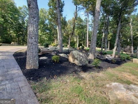 223 South Brow Drive Cloudland - 81