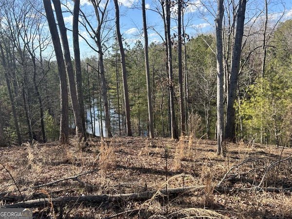 154 Lake Forest Drive, Ellijay