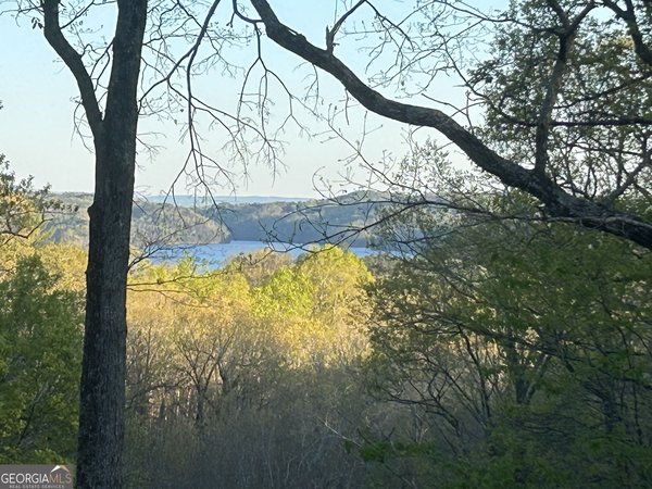 439 Buck Creek Road, Ellijay