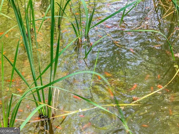 136 Honeybell Lane, Blairsville