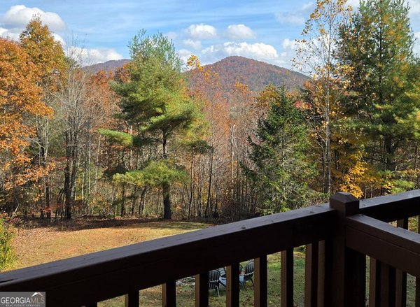 705 Hickory Drive, Mineral Bluff